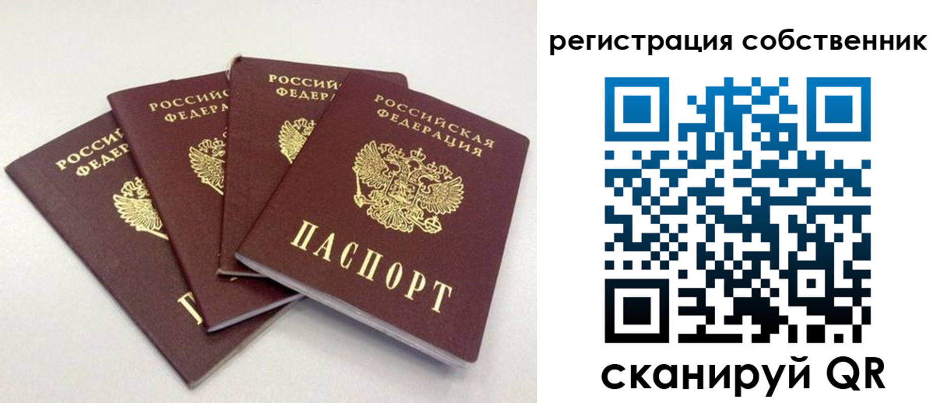 прописка для школы в Выборге